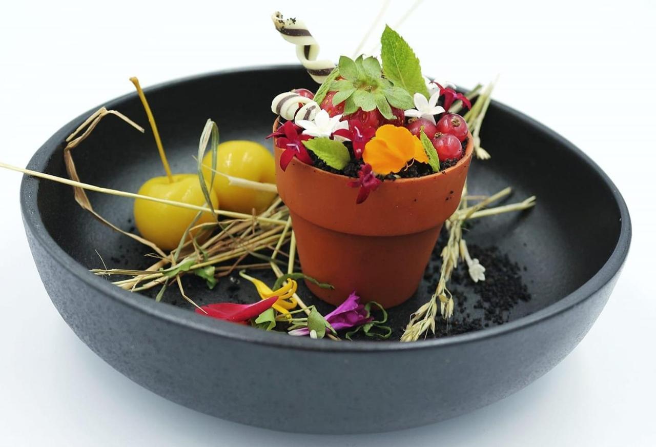 Logis Hotel Restaurant Le Clos Fleuri Castelnaudary Bagian luar foto